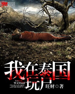 gogo全站高清专业摄像