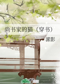 阿瓦隆游戏人物介绍