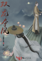 总裁的天才双胞胎宝宝