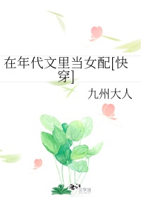 戴路视频