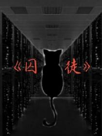 奢侈折火一夏小说