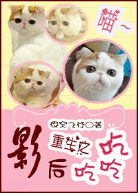 宠婚萝卜兔子