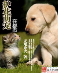 晒胸大赛