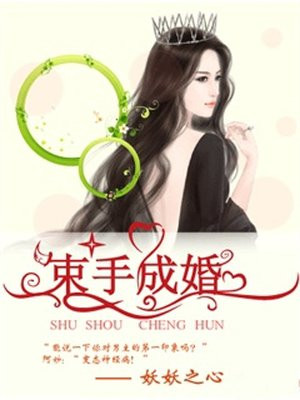 液体墙纸