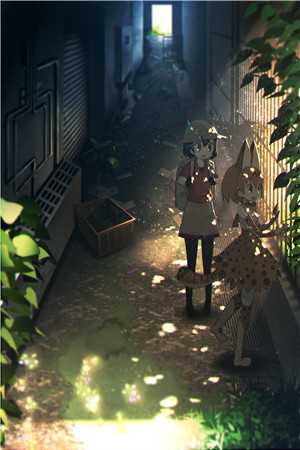 啄木鸟视频法国在线