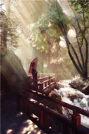 zepto怎么玩