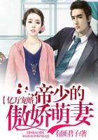 老婆秀玲的风流生活
