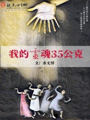 驯龙高手重回家园番外篇·归家