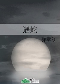 外衣内衣全部脱视频
