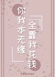 七鱼直播