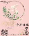 重生之都市仙尊