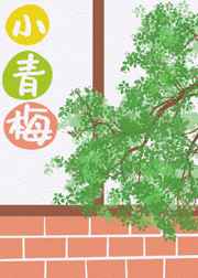 诱人的后妈的小说全集
