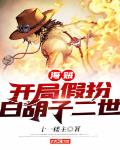 录像片