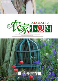 官人我要