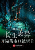 亲爱的律师大人