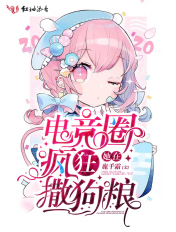 太子妃升职记百度云