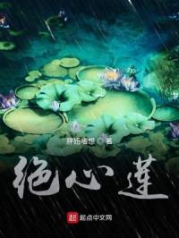 红蝴蝶在线观看