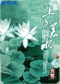 红线电视剧46集免费看
