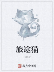 同性男男黄g片免费网站软件国产