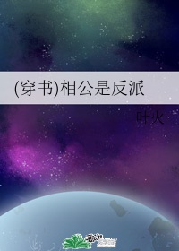 宝书网txt