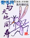 亚特兰蒂斯之心