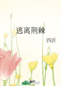 久久偷看各类wc女厕