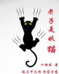 我在夜店的那些事儿 小说