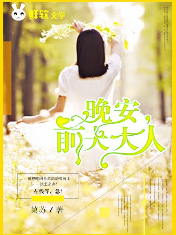 我的妻子3
