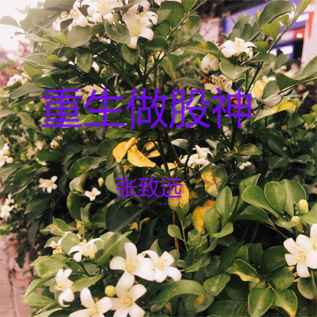 娇妻之欲海泛舟22阅读