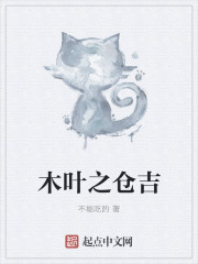 电视剧当家主母多少集