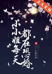公交车系列1部分