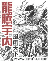 少帅你老婆又跑了无删减完整版
