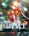 少年大宝风流