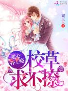 今夜宜欢无删减小说