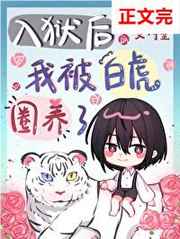 wow海盗节
