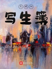 铁甲小宝在线观看