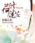 阿v视频