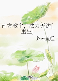 骑姐妹免费播放的网站