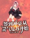 沈曼江峰小说全文免费下载