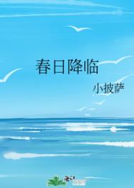 女11p越南