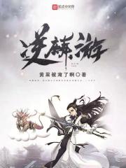 红楼之庶子风流txt