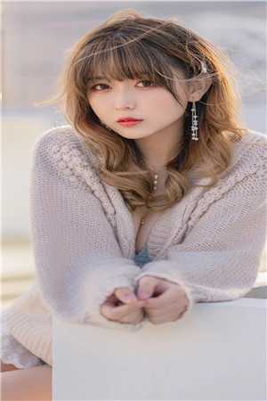 龙嫁(人龙h)