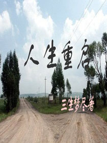 分类汇总怎么用