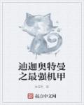 闪婚老公不见面小说免费观看