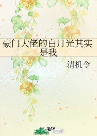 山海经之伏魔正道免费观看视频