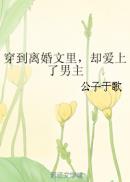 新世纪高潮战队