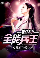 宠爱h