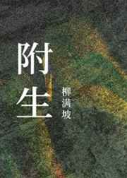 蜜桃视频成a人v在线