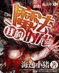 成语博士买驴