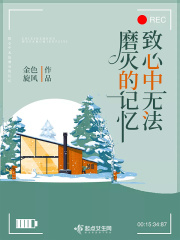 长征十一号